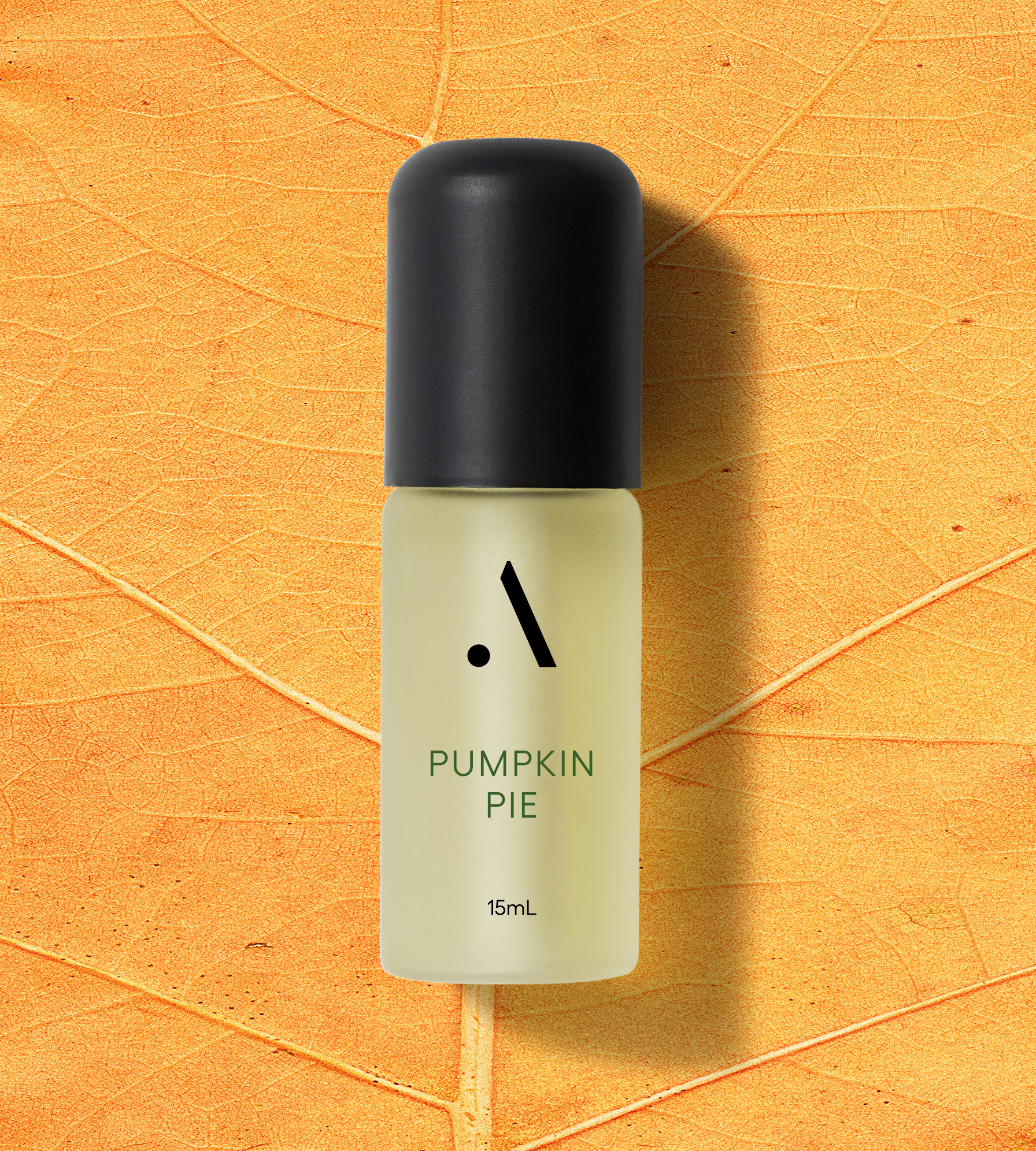 Pumpkin Pie for Tria