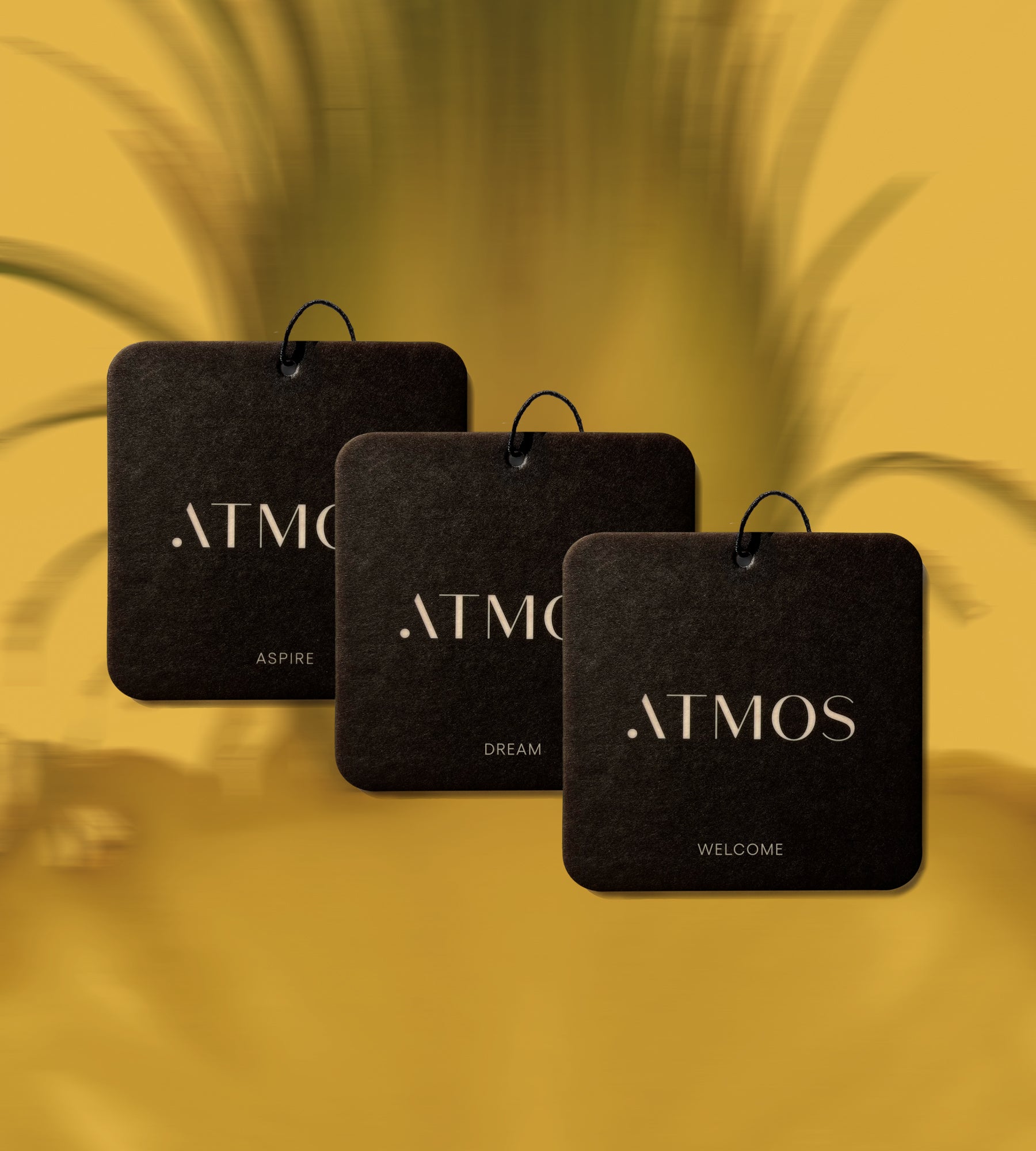 The Scent Square Trio